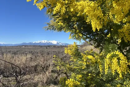 Brouilla , le long du Tech