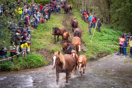 La Triada de Murats d'Espinavell  - Ouvrir programme pour INFOS