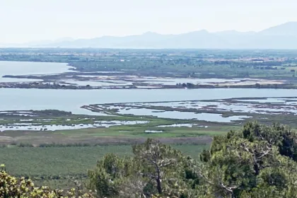 Salses - La Guarrigue de l'Olivar d'en David