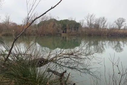 Villelongue dels Monts als Bachous